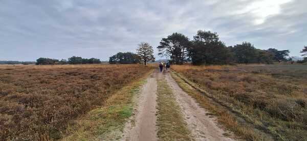 20251214-dt-goirle-regteheide
