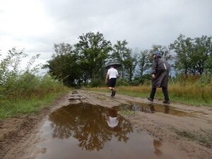 20260828-owd-dag-1-AvB_