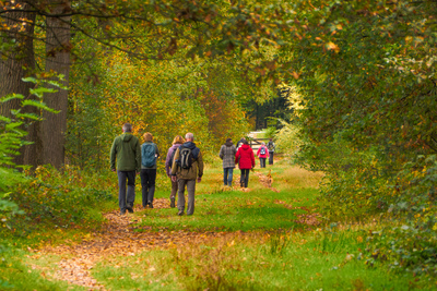 20251019_WS_Rosmalen_onderweg_FvdB